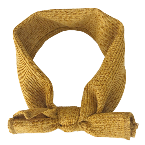 Pumpkin - Little Eli